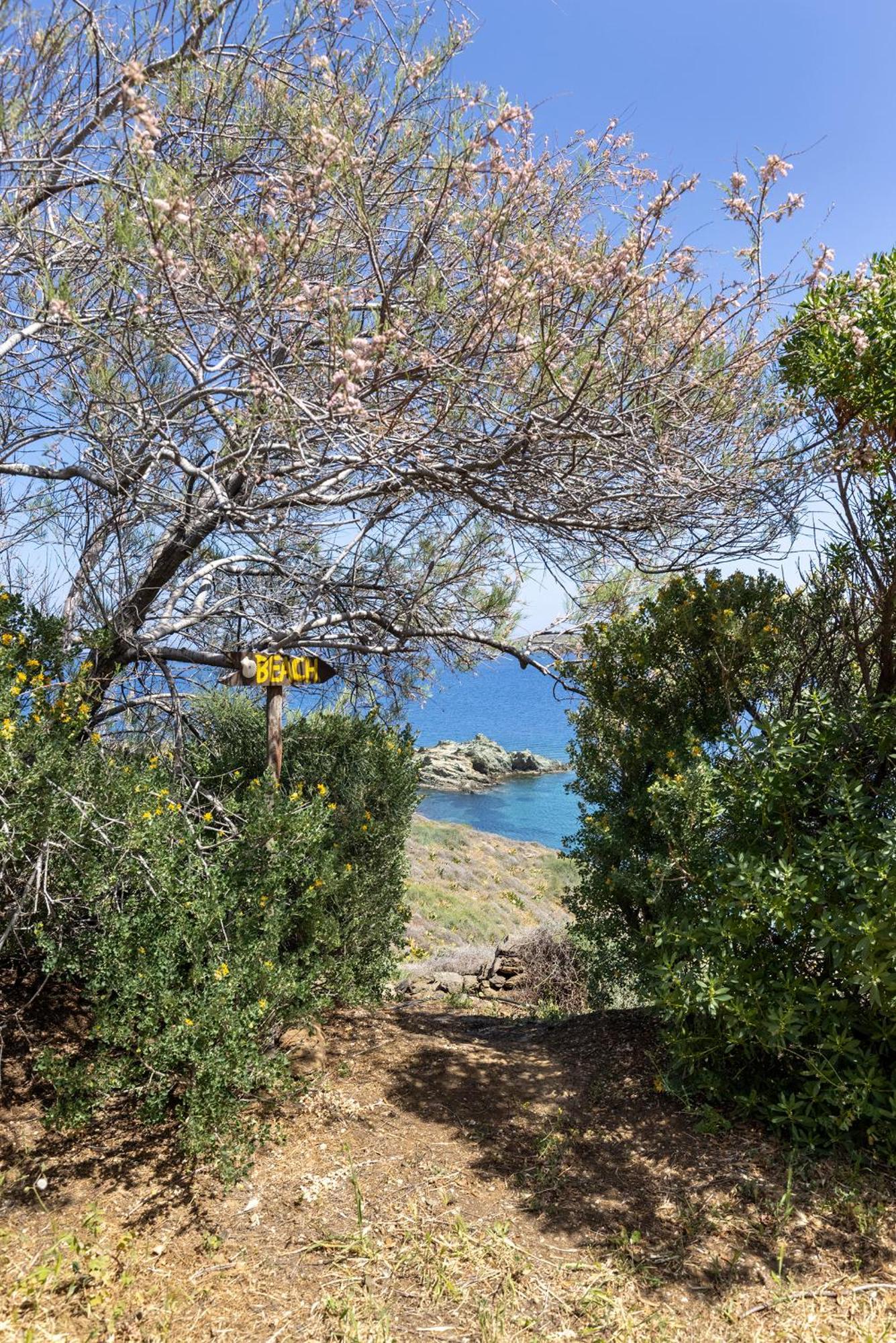 Aegean View - Seaside Apartment In Syros Azolimnos Exteriér fotografie